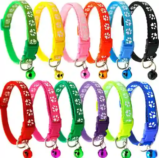Collar Economico Para Perro Pequeño O Mediano Colores Surtidos X Unidad