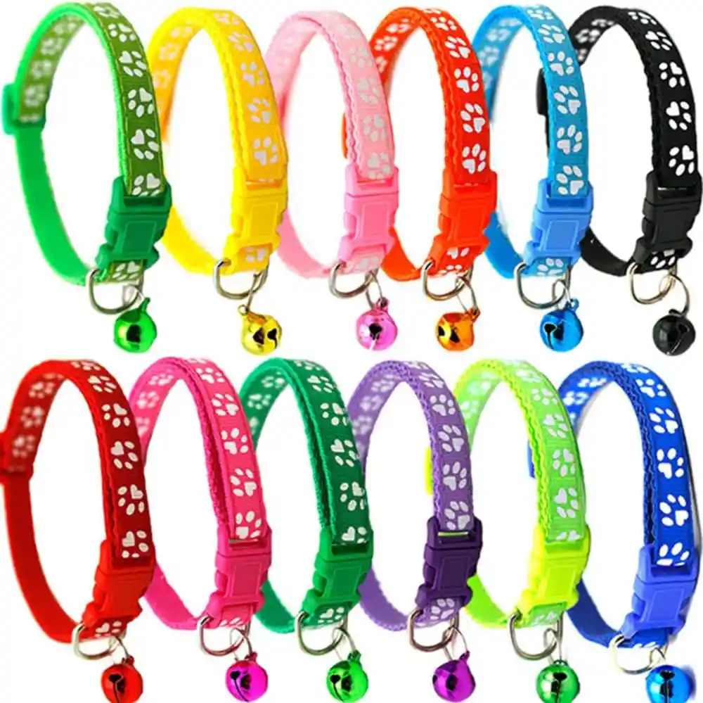 Collar Economico Para Perro Pequeño O Mediano Colores Surtidos X Unidad