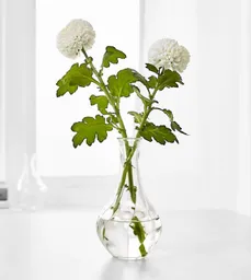 1x Solitario Florero Decorativo Jarrón Hidropónico Vidrio Para Flores