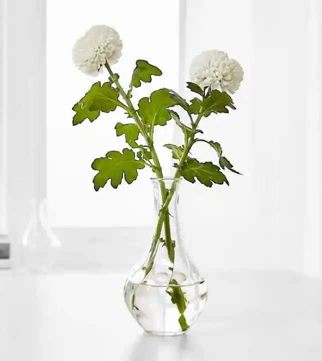 1x Solitario Florero Decorativo Jarrón Hidropónico Vidrio Para Flores