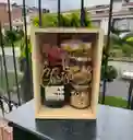 Ancheta Navideña Caja Whisky