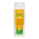 Champú Acondicionador Hidratante Cantu Con Aceite De Aguacate 13.5 Oz / 400ml