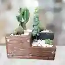 Terrario De Suculentas Y Catus