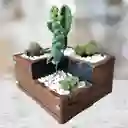 Terrario De Suculentas Y Catus