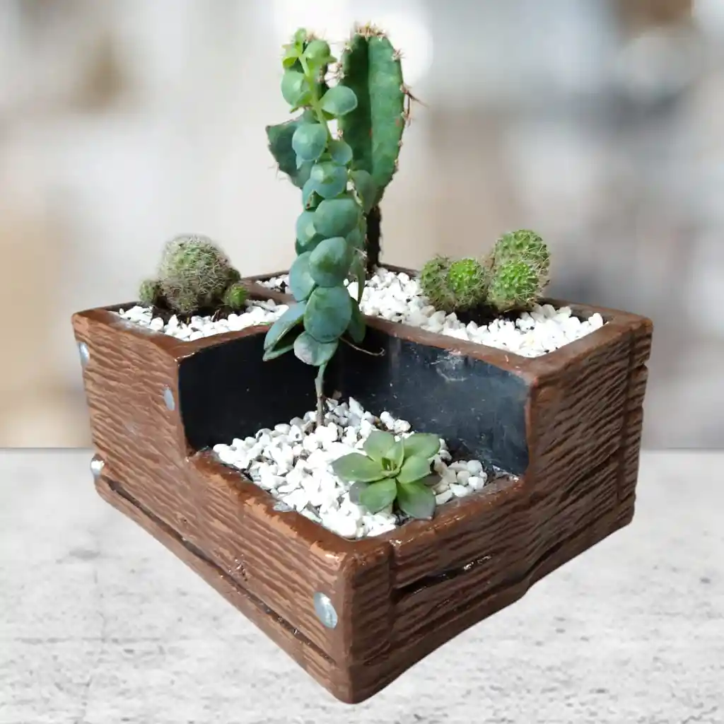 Terrario De Suculentas Y Catus