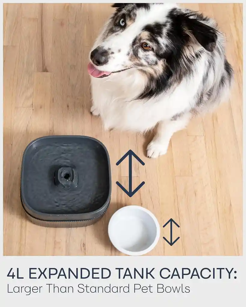 Fuente De Agua Para Perros Gatos Veken Led