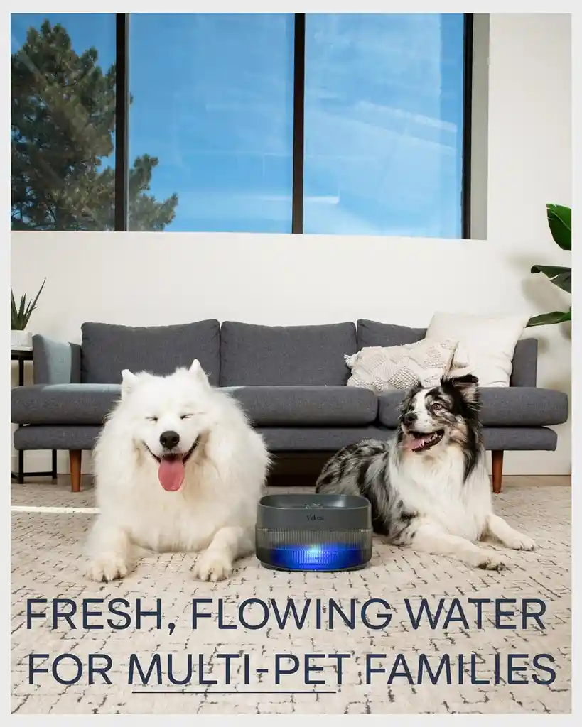 Fuente De Agua Para Perros Gatos Veken Led