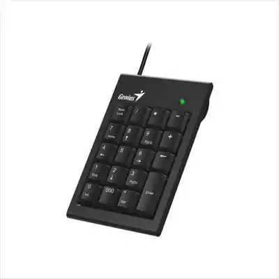 Teclado Genius Numérico 110