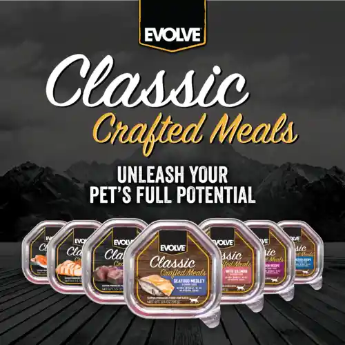 Evolve Alimento Humedo Gatos Pollo 100 Gr Evolve Gatos Bandeja Pollo 100 Gr Evolve Para Gatos