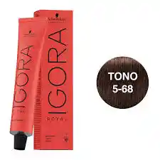 Igora Royal Tono 5/68