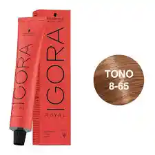 Igora Royal Tono 8/65