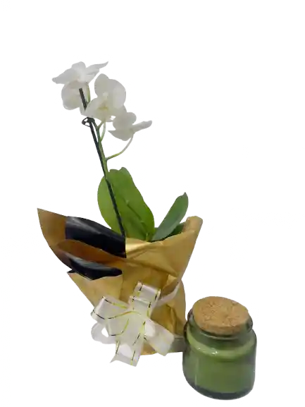 Orquídea Mini Con Vela Aromatizada