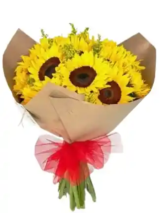 Rayos De Sol: Bouquet De 10 Girasoles