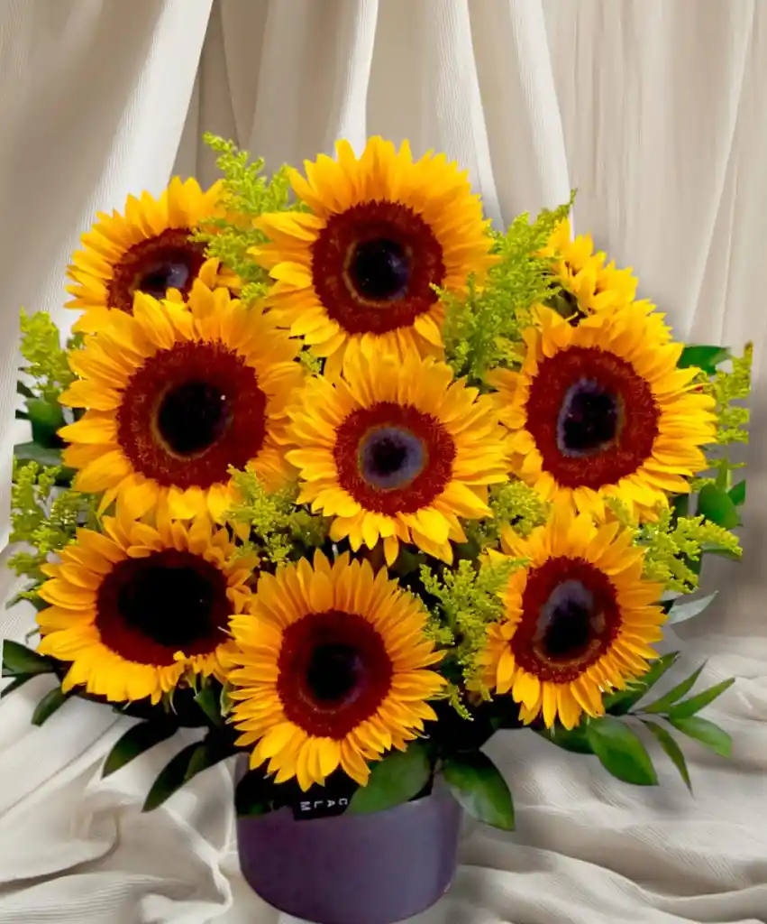 Arreglo Girasoles