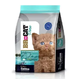 Br For Cat Gatitos Salmon X 3kg