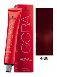 Igora Royal Tono 4/88