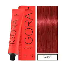Igora Royal Tono 6/88