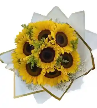 Sol Eterno: Bouquet De 7 Girasoles