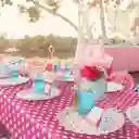 Mantel Plástico Reutilizable Fucsia Con Puntos Blancos