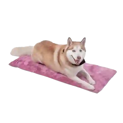 Cama Portatil Sherpy Talla.m Morado 231-m89m