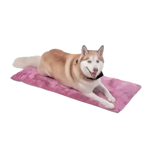Cama Portatil Sherpy Talla.m Morado 231-m89m