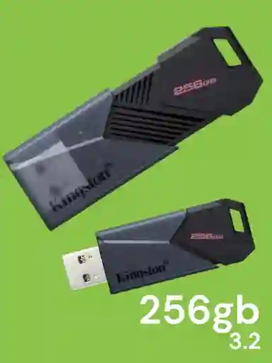Usb Kingston 256gb 3.2 Gen 1 Datatraveler Onyx