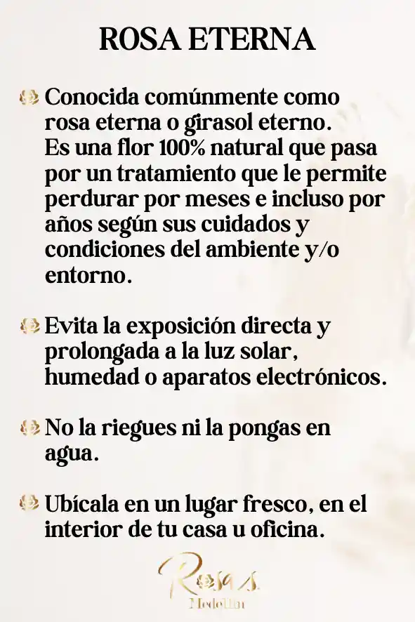 Rosa Preservada Premium Rosada Rosa Eterna