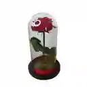 Rosa Preservada Premium Roja Rosa Eterna