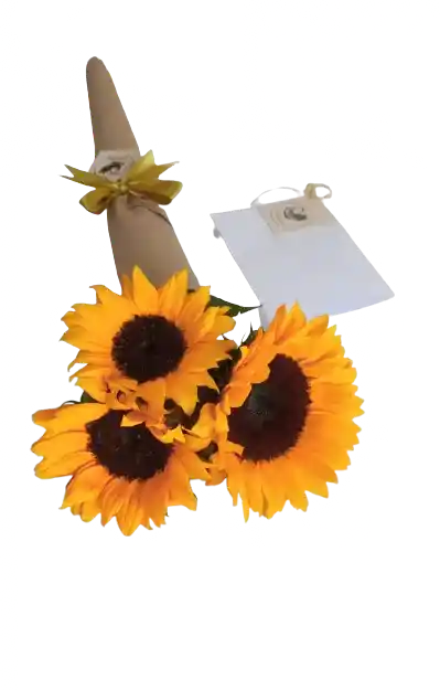 Cono De 3 Girasoles