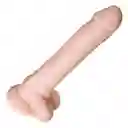 Dildo Realista Posable 26 Cm Evolved