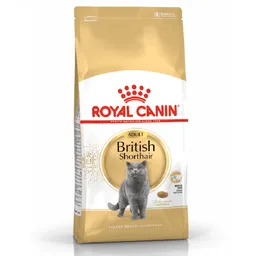 Royal C. Gato British Shorthair Adulto X 2kg