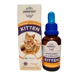 Esencia Kitten Gotas X30ml