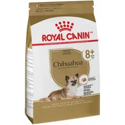 Royal C. Perro Chihuahua 8+ X 1.13 K