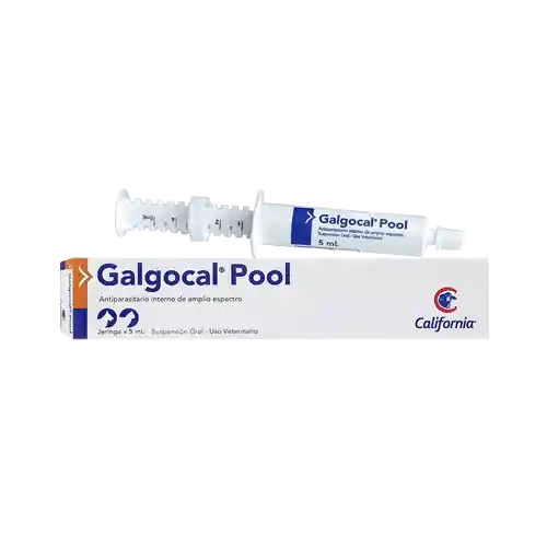 Galgocal Pool X 5ml