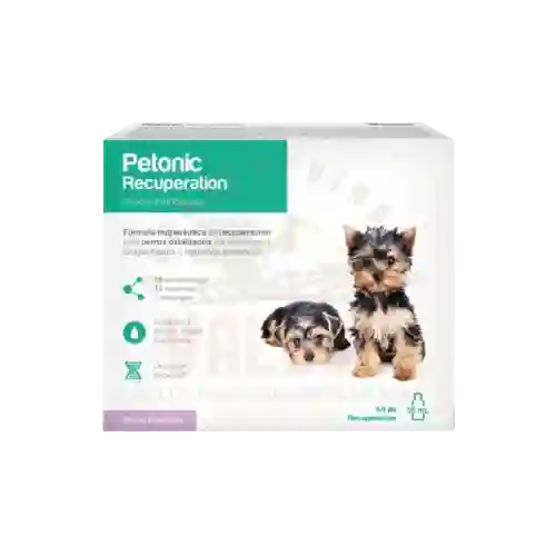 Petonic R 55ml