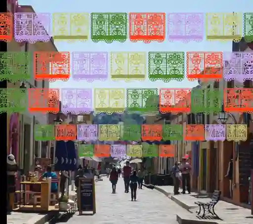 Banderin Guirnalda Mexicana Papel Esposos Pasa Calle 15 Mts.