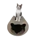 Rascador Tunel Gato Grande