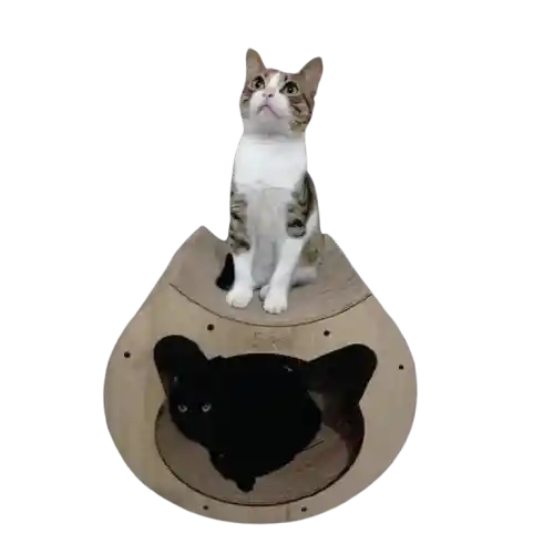 Rascador Tunel Gato Grande