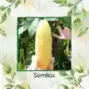 60 Semillas Orgánicas De Fruta Curuba