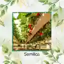 2.000 Semillas Orgánicas De Fresa