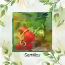 2.000 Semillas Orgánicas De Fresa