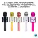 Microfono Karaoke Ws858