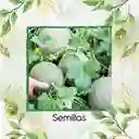 100 Semillas Orgánicas De Melón