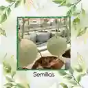 500 Semillas Orgánicas De Melón