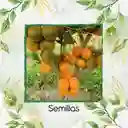 20.000 Semillas Orgánicas De Fruta Lulo
