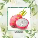 600 Semillas Orgánicas De Pitahaya Roja