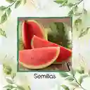 40 Semillas Orgánicas De Fruta Sandia Fairfax Rayada