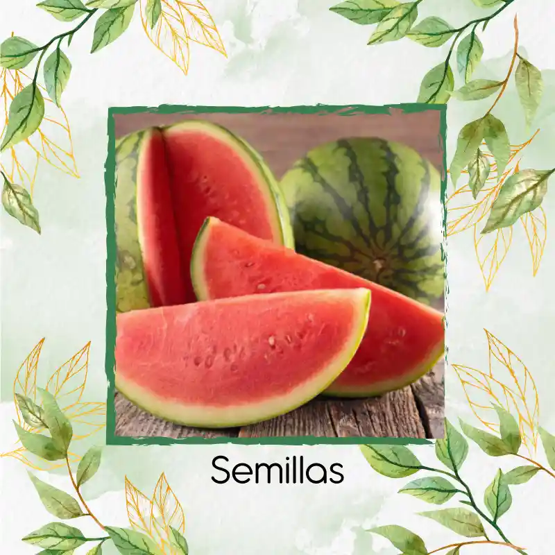 40 Semillas Orgánicas De Fruta Sandia Fairfax Rayada