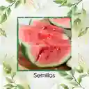 800 Semillas Orgánicas De Fruta Sandia Fairfax Rayada