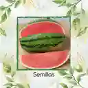 800 Semillas Orgánicas De Fruta Sandia Fairfax Rayada